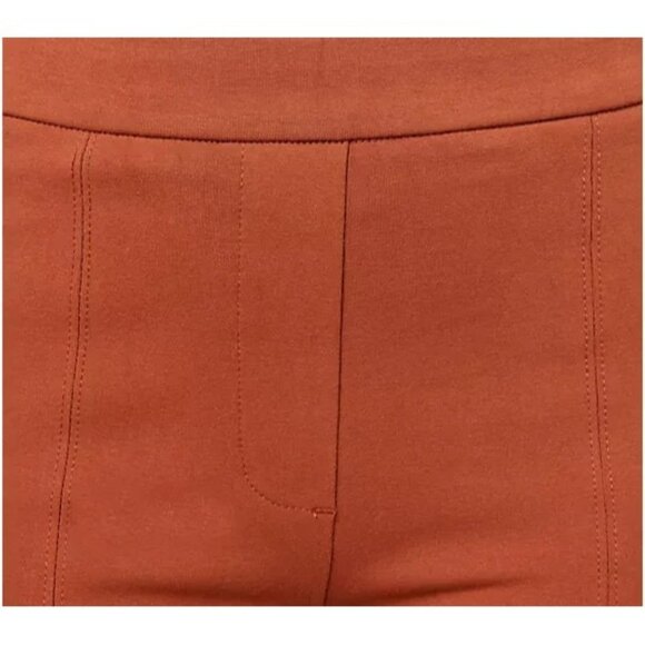 Susan Graver  Stretch Slim-Leg Ankle Trousers Dark Spice Petite XL A610538 - Picture 3 of 3